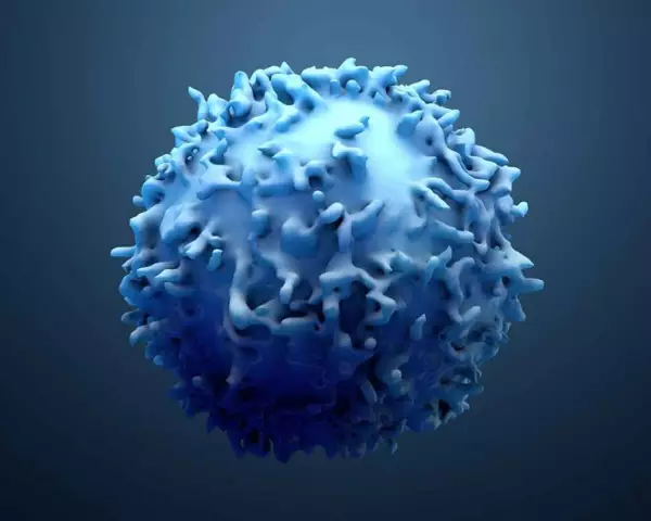 Qu'est-ce qu'un faible taux de lymphocytes ?