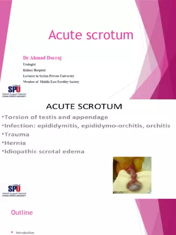 Scrotum - what is it? Its structure and functions. Diseases of the scrotum and their prevention