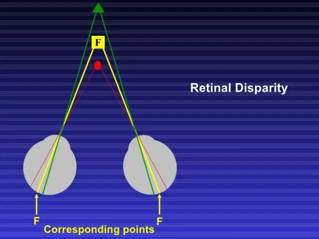 What is stereoscopic vision